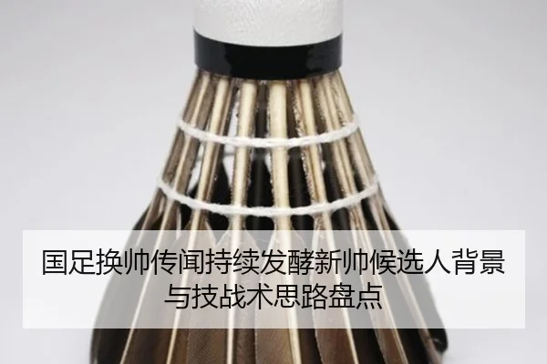 国足换帅传闻持续发酵新帅候选人背景与技战术思路盘点（HTHSportsapp）
